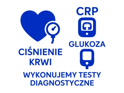 ikona