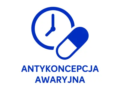 ikona