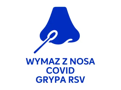 ikona