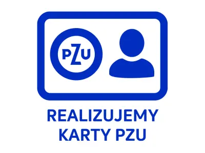 ikona